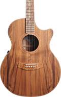 Cole Clark AN 2 EC Blackwood / Blackwood #2506-13749