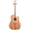 Cole Clark FL 2 Australian Blackwood Top, Back and Sides Cutaway  #201137404 Front View