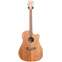 Cole Clark FL 2 Australian Blackwood Top, Back and Sides Cutaway  #201236878 Front View