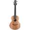 Lowden Wee Lowden WL-25 East Indian Rosewood/Red Cedar Left Handed #25493 Front View