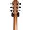 Lowden Wee Lowden WL-25 East Indian Rosewood/Red Cedar Left Handed #25643 