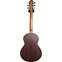 Lowden Wee Lowden WL-25 East Indian Rosewood/Red Cedar Left Handed #25643 Back View