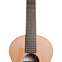 Lowden Wee Lowden WL-25 East Indian Rosewood/Red Cedar Left Handed #25643 