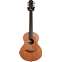 Lowden WL-35 Wee Lowden Cocobolo / Sinker Redwood #24842 Front View