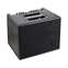 AER Compact 60 Signature Tommy Emmanuel Combo Acoustic Amp Front View