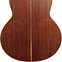 Lowden FM Sitka Spruce/Cocobolo with LR Baggs Anthem #25699 