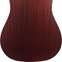 Eastman PCH1-D Classic
