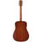 Alvarez Artist Series AD30 Dreadnought Back View