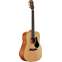 Alvarez Artist Series AD30 Dreadnought Front View