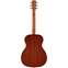 Alvarez Artist Series AF30 Folk Natural Back View