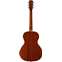 Alvarez Delta00/TSB Delta 00 14th Fret Acoustic Back View