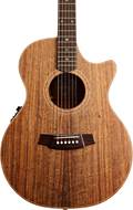 Cole Clark AN2EC-BLBLR #210912717