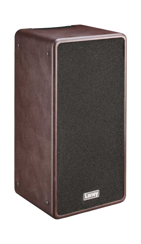 Laney A-Duo Combo Acoustic Guitar Amplifier