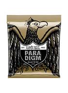 Ernie Ball P02090 Paradigm Acoustic 80/20 Bronze Extra Light 10-50