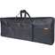 Roland CB-B49D 49-Key Keyboard Bag with Shoulder Straps Front View
