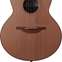 Lowden S25 Indian Rosewood/Red Cedar #27330 