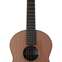 Lowden S25 Indian Rosewood/Red Cedar #27330 