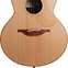 Lowden S25 Indian Rosewood/Red Cedar #25431 