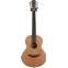 Lowden WL-22 Wee Lowden Mahogany/Red Cedar #26377 Front View