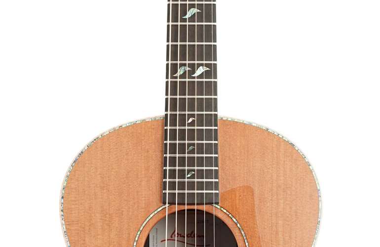 Lowden F-38 Brazilian Rosewood Dark Red Cedar (Ex-Demo) #21687 Lowden F-38 Brazilian Rosewood Dark Red Cedar (Ex-Demo) #21687