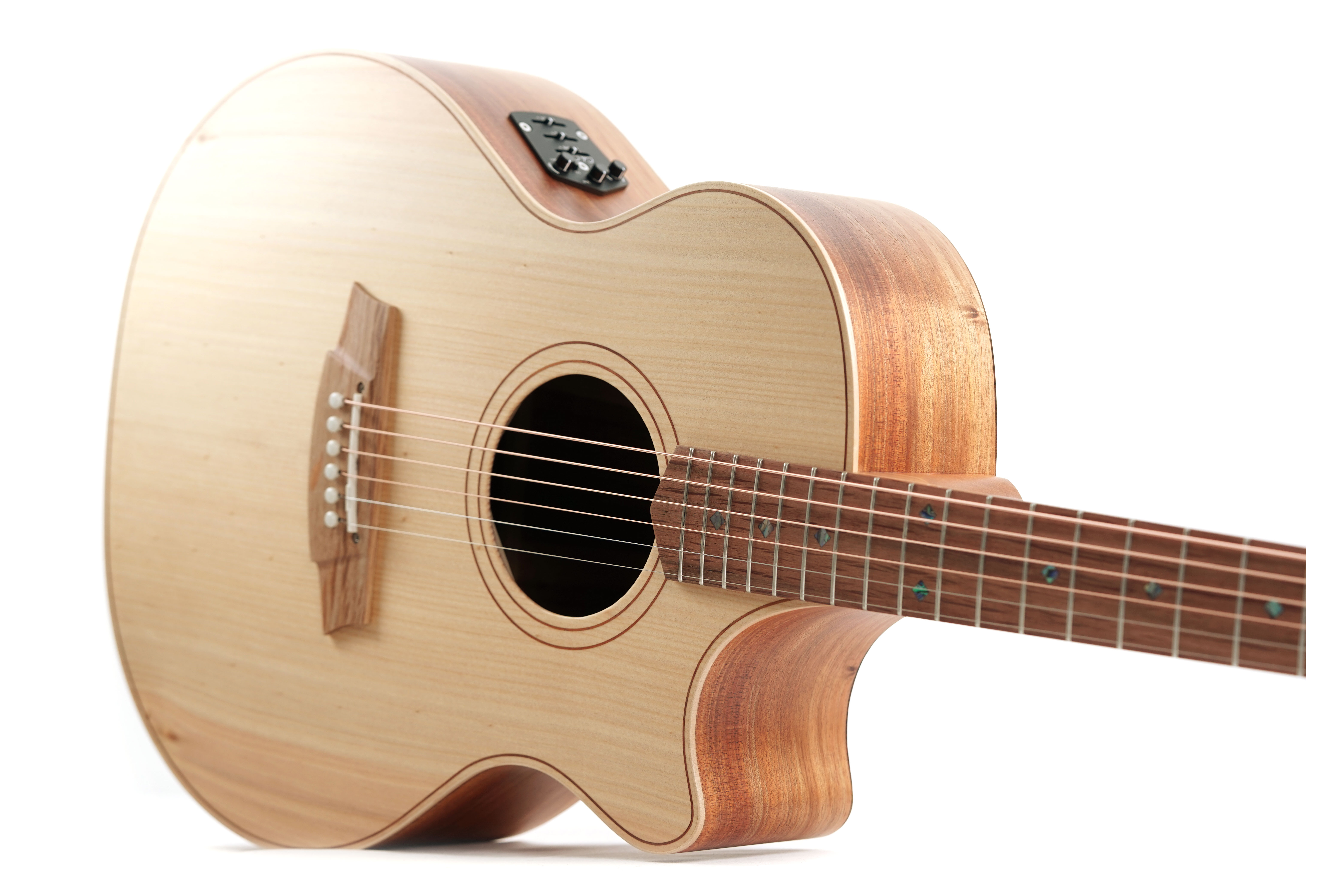 Cole Clark AN 2 EC Bunya / Blackwood CCAN2EC-BB #2408-14890