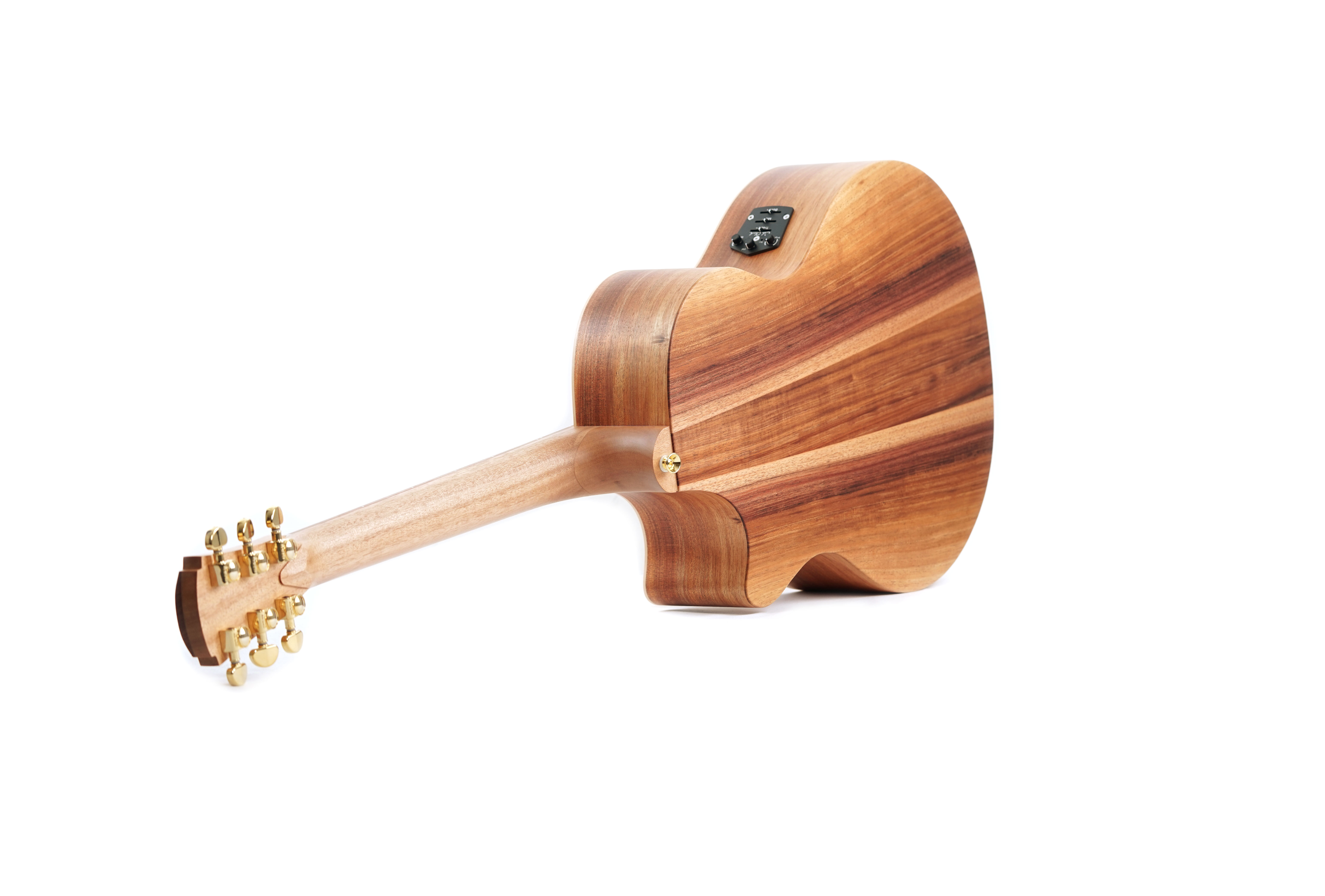 Cole Clark AN 2 EC Bunya / Blackwood CCAN2EC-BB #2408-14890