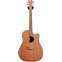 Cole Clark FL 2 Redwood Top, Australian Blackwood Back and Sides Cutaway  (Ex-Demo) #190936063 Front View
