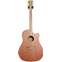 Cole Clark FL 2 Redwood Top, Australian Blackwood Back and Sides Cutaway (Ex-Demo) #220339067 Front View