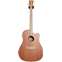 Cole Clark FL 2 Redwood Top, Australian Blackwood Back and Sides Cutaway  #220339666 Front View