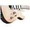 Charvel Guthrie Govan Signature HSH Flame Maple (Ex-Demo) #GG22000383 Front View