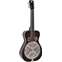 Recording King RR-60-VS Professional Squareneck Wood Body Resonator Front View