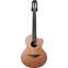 Lowden S25J Jazz Indian Rosewood/Red Cedar #24900 Front View