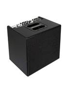 AER Domino 2 Solid State Combo Acoustic Amp