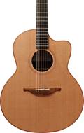 Lowden F25C Indian Rosewood Red Cedar with LR Baggs Anthem #24194