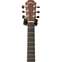 Lowden F25C Indian Rosewood Red Cedar with LR Baggs Anthem #24194 