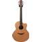 Lowden F25C Indian Rosewood Red Cedar with LR Baggs Anthem #24194 Front View