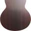 Lowden F25C Indian Rosewood Red Cedar with LR Baggs Anthem 