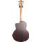 Lowden F25C Indian Rosewood Red Cedar with LR Baggs Anthem Back View