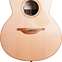 Lowden F25C Indian Rosewood Red Cedar with LR Baggs Anthem 
