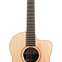 Lowden F32C Indian Rosewood/Sitka Spruce With LR Baggs Anthem #27445 