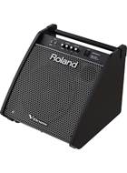 Roland PM-200 Drum Amp (Ex-Demo) #(21)Z7K6405