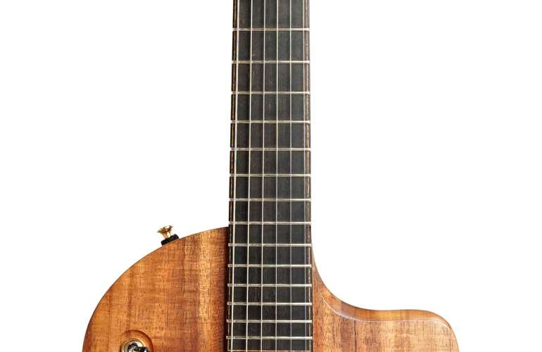 Lowden GL-10 Tasmanian Blackwood (Ex-Demo) #E0105 Lowden GL-10 Tasmanian Blackwood (Ex-Demo) #E0105
