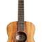 Taylor GS Mini-e Koa #2202051378 