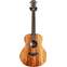 Taylor GS Mini-e Koa #2202051378 Front View