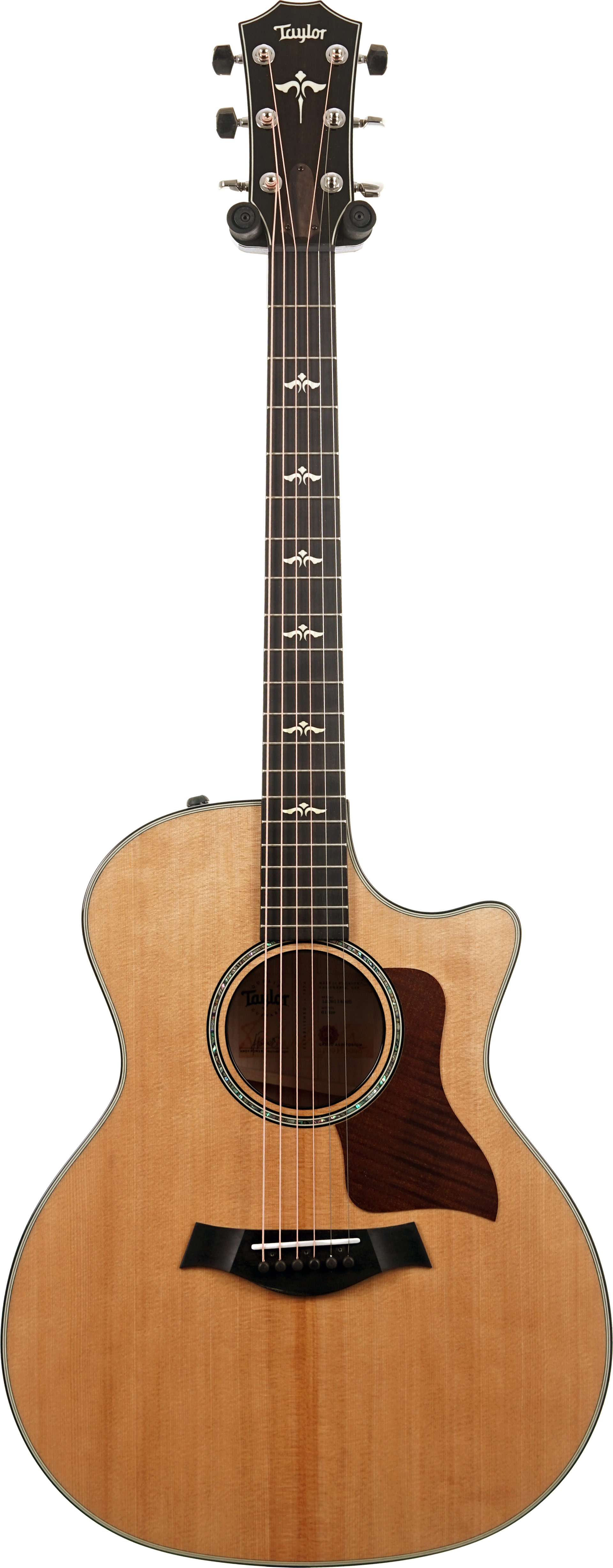 Taylor 614ce Grand Auditorium V Class Bracing #1209114095