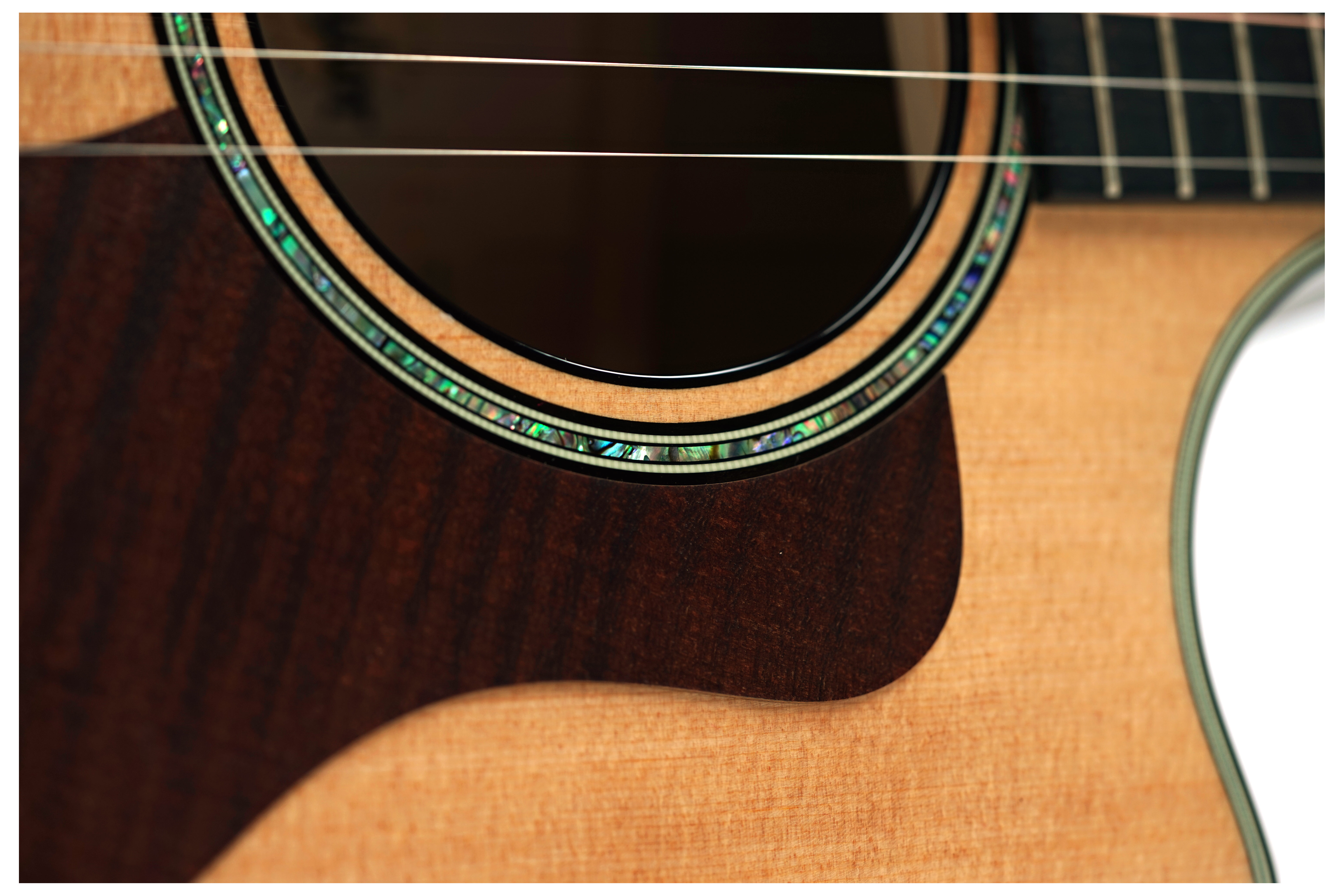 Taylor 614ce Grand Auditorium V Class Bracing #1209114095