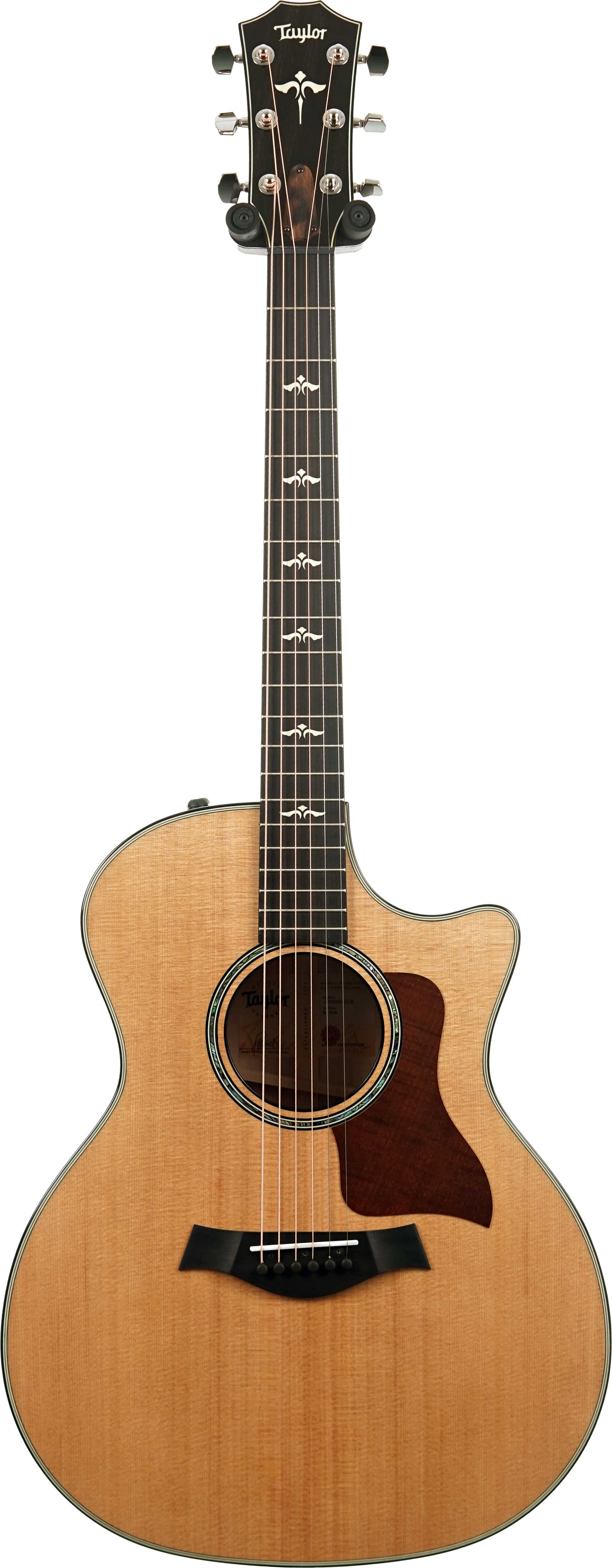 Taylor 614ce Grand Auditorium V Class Bracing #1208234012