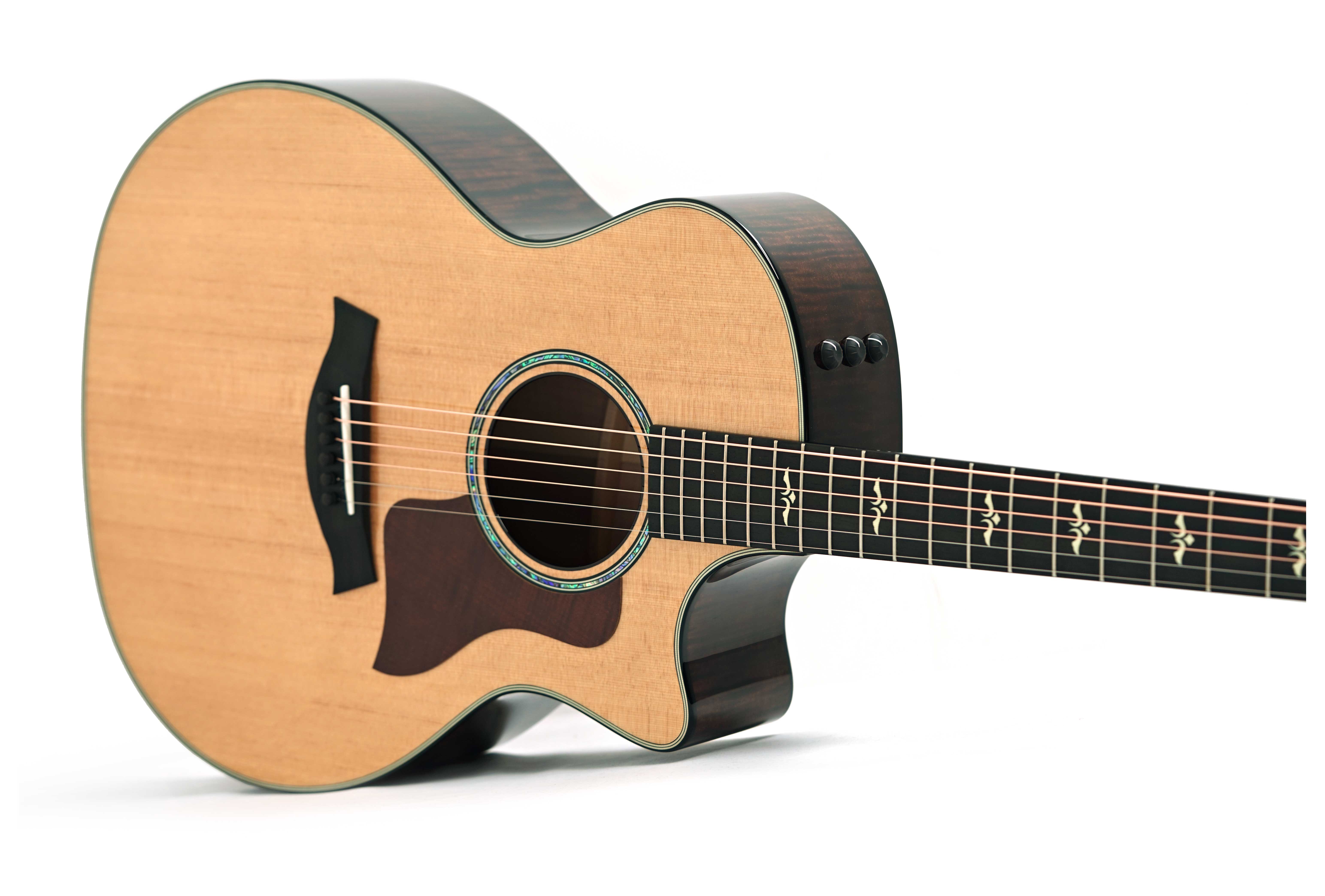 Taylor 614ce Grand Auditorium V Class Bracing #1208234012