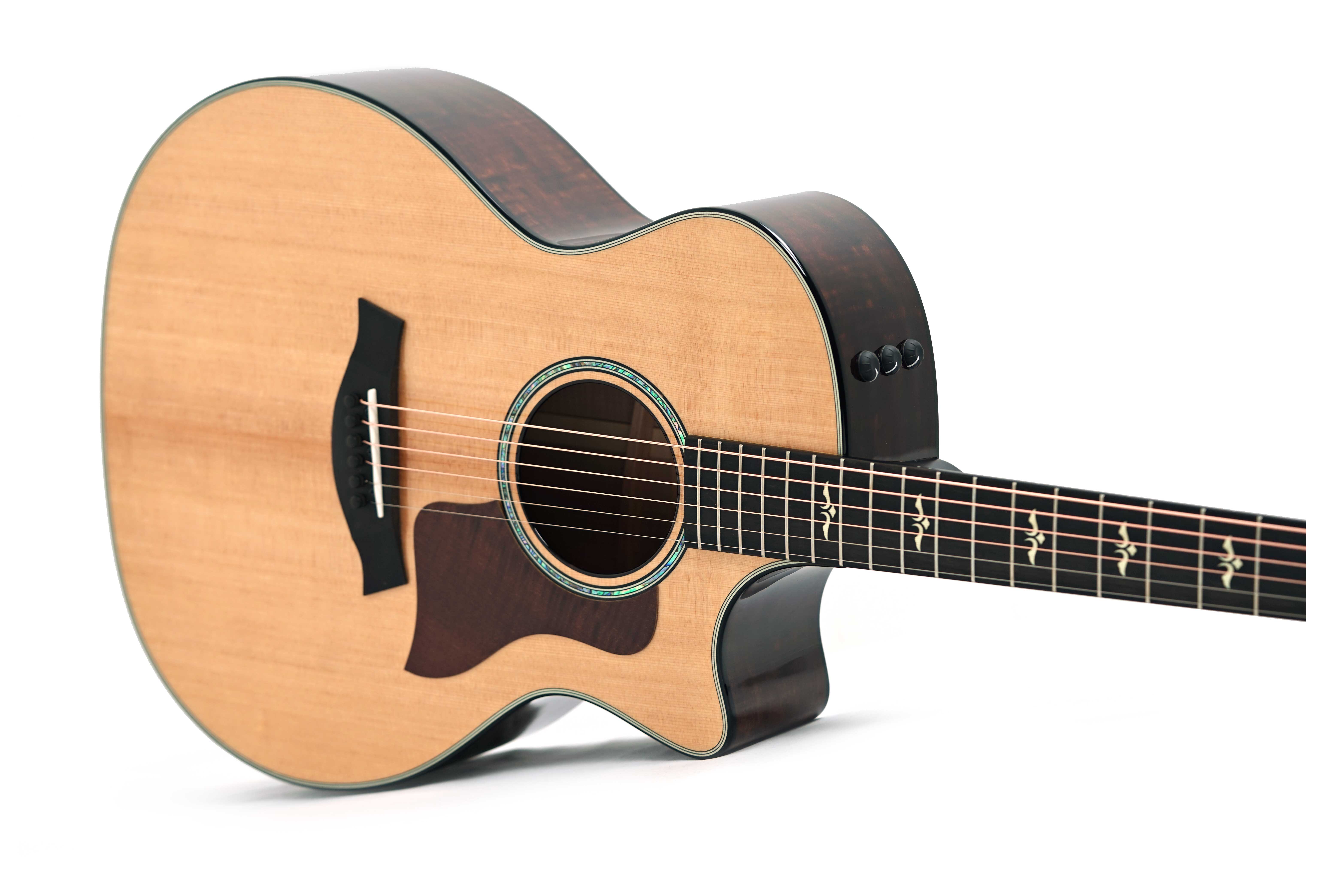 Taylor 614ce Grand Auditorium V Class Bracing #1208214100