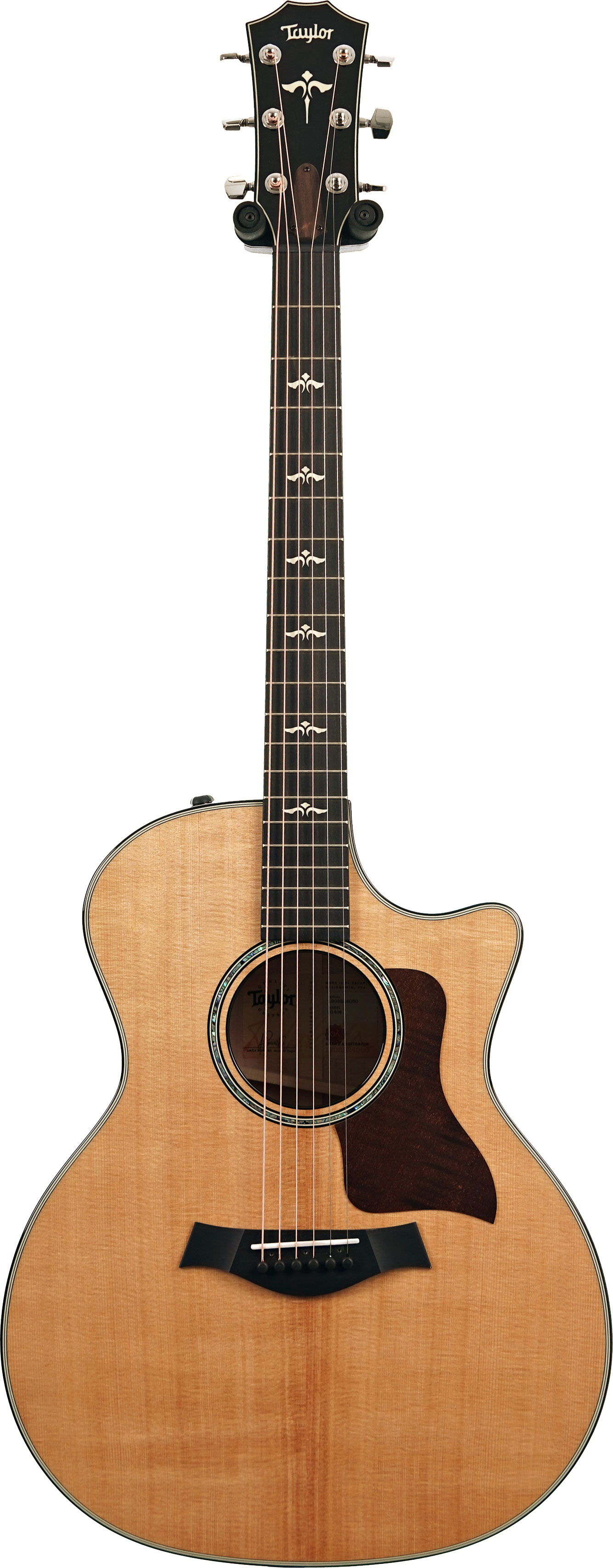 Taylor 614ce Grand Auditorium V Class Bracing (Nearly New) #1208224080
